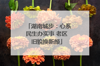湖南城步：心系民生办实事 老区旧貌换新颜