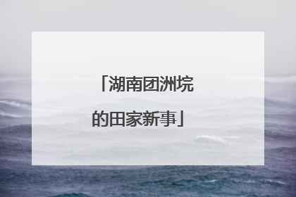 湖南团洲垸的田家新事