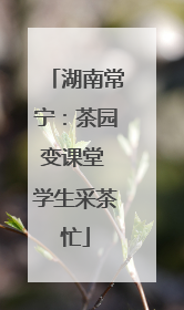 湖南常宁：茶园变课堂 学生采茶忙