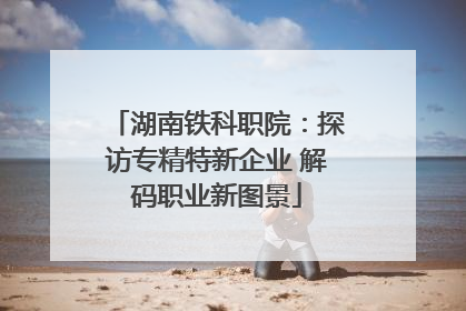 湖南铁科职院：探访专精特新企业 解码职业新图景