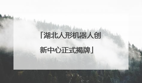 湖北人形机器人创新中心正式揭牌