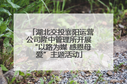湖北交投襄阳运营公司隆中管理所开展“以路为媒 感恩母爱”主题活动