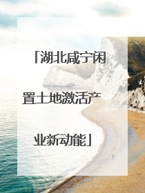 湖北咸宁闲置土地激活产业新动能