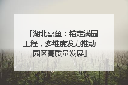 湖北嘉鱼：锚定满园工程，多维度发力推动园区高质量发展