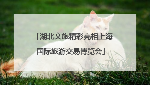 湖北文旅精彩亮相上海国际旅游交易博览会