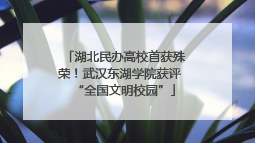 湖北民办高校首获殊荣！武汉东湖学院获评“全国文明校园”