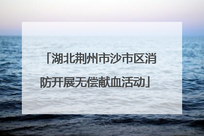 湖北荆州市沙市区消防开展无偿献血活动