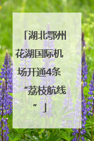 湖北鄂州花湖国际机场开通4条“荔枝航线”