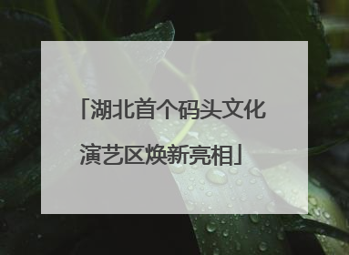 湖北首个码头文化演艺区焕新亮相