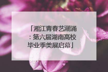 湘江青春艺潮涌：第六届湖南高校毕业季美展启幕