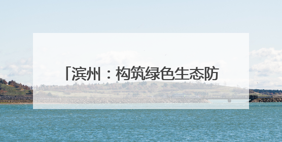 滨州：构筑绿色生态防护体系 推动黄河流域生态保护和高质量发展