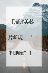 漫评美芯片新规：“打地鼠”