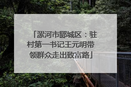 漯河市郾城区：驻村第一书记王元明带领群众走出致富路