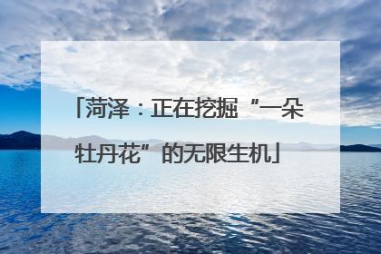 菏泽：正在挖掘“一朵牡丹花”的无限生机
