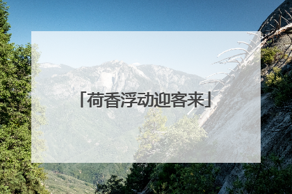 荷香浮动迎客来
