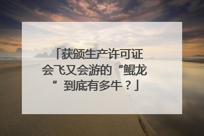 获颁生产许可证 会飞又会游的“鲲龙”到底有多牛？
