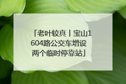 老叶较真丨宝山1604路公交车增设两个临时停靠站