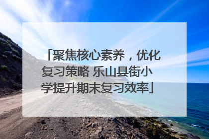 聚焦核心素养，优化复习策略 乐山县街小学提升期末复习效率