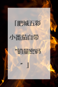 肥城五彩小番茄自带“销量密码”