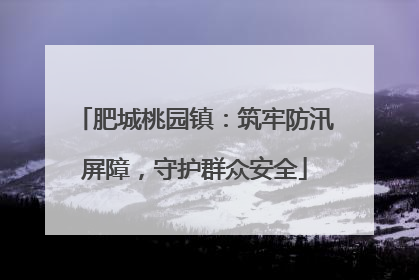 肥城桃园镇：筑牢防汛屏障，守护群众安全
