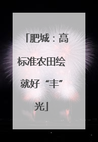 肥城：高标准农田绘就好“丰”光