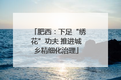 肥西：下足“绣花”功夫 推进城乡精细化治理