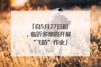 自5月27日起，临沂多地将开展“飞防”作业