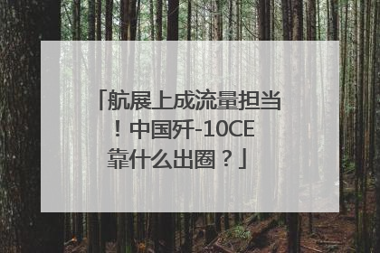 航展上成流量担当！中国歼-10CE靠什么出圈？