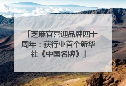 芝麻官喜迎品牌四十周年：获行业首个新华社《中国名牌》