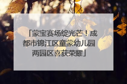 蒙宝赛场绽光芒！成都市锦江区童蒙幼儿园两园区喜获荣耀