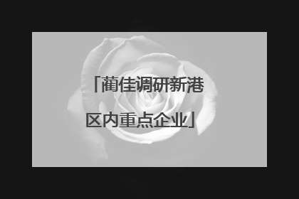 蔺佳调研新港区内重点企业