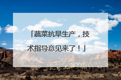 蔬菜抗旱生产，技术指导意见来了！