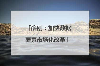 薛刚：加快数据要素市场化改革