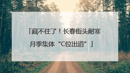 藏不住了！长春街头耐寒月季集体“C位出道”