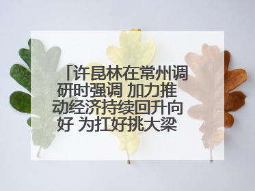 许昆林在常州调研时强调 加力推动经济持续回升向好 为扛好挑大梁责任多作贡献