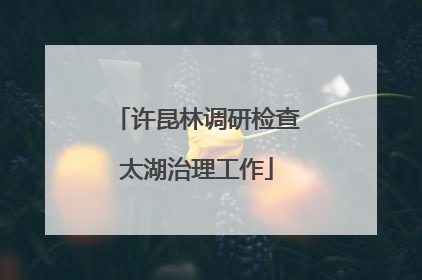 许昆林调研检查太湖治理工作