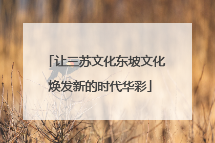 让三苏文化东坡文化焕发新的时代华彩