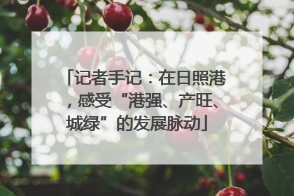 记者手记：在日照港，感受“港强、产旺、城绿”的发展脉动