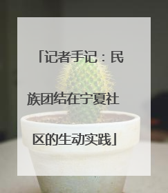 记者手记：民族团结在宁夏社区的生动实践