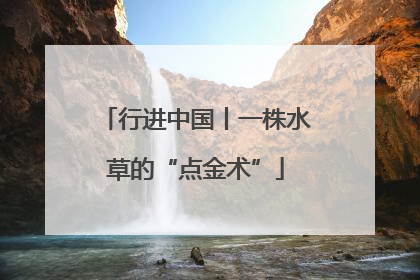行进中国丨一株水草的“点金术”