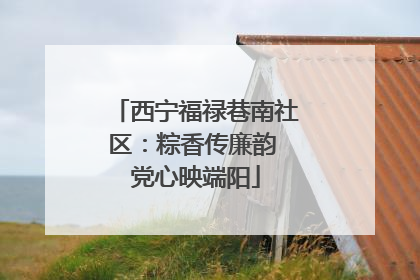 西宁福禄巷南社区：粽香传廉韵 党心映端阳