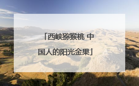西峡猕猴桃 中国人的阳光金果