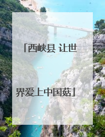 西峡县 让世界爱上中国菇