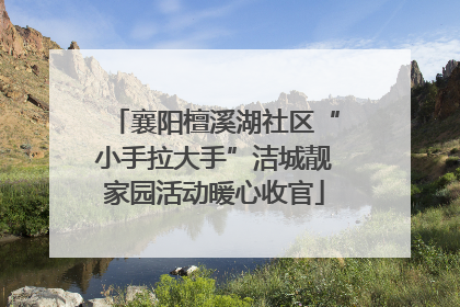 襄阳檀溪湖社区“小手拉大手”洁城靓家园活动暖心收官