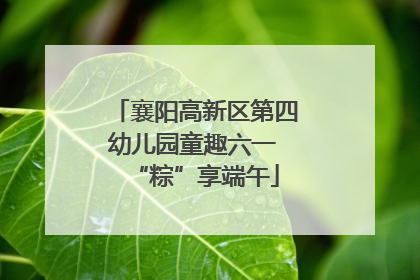 襄阳高新区第四幼儿园童趣六一 “粽”享端午