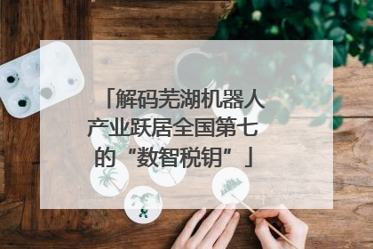 解码芜湖机器人产业跃居全国第七的“数智税钥”