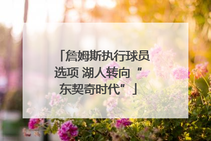 詹姆斯执行球员选项 湖人转向“东契奇时代”