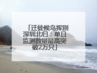 迁徙候鸟挥别深圳北归：单日监测数量最高突破2万只