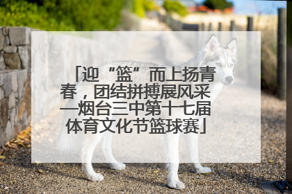 迎“篮”而上扬青春，团结拼搏展风采—烟台三中第十七届体育文化节篮球赛