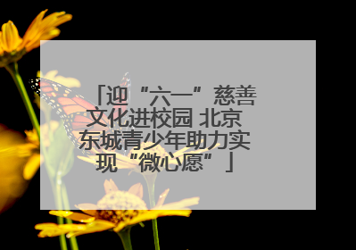 迎“六一”慈善文化进校园 北京东城青少年助力实现“微心愿”